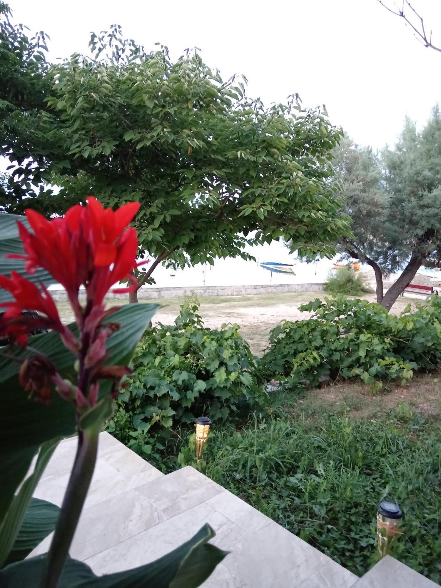 Seaview Holiday Apartments, Ventura Нин Екстериор снимка